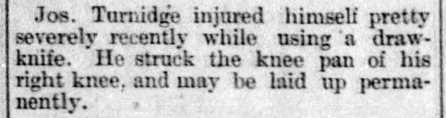 Weekly_Oregon_Statesman_Fri__Jan_29__1886_ &#8211