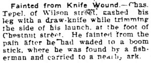 Williamsport_Sun_Gazette_Mon__Aug_29__1910_