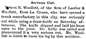 The_Saint_Paul_Globe_Mon__Sep_2__1878_