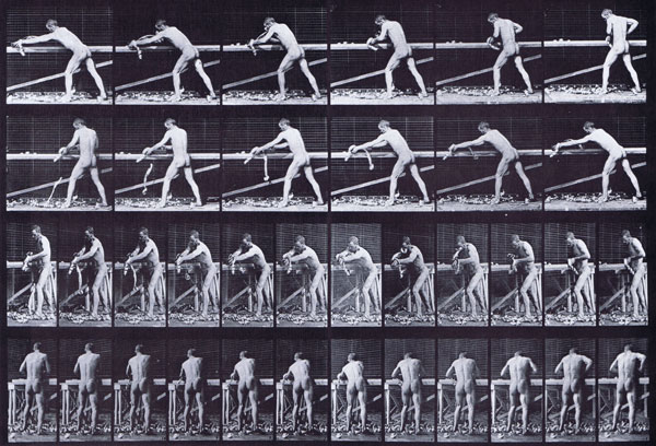 muybridge_plate_379_small