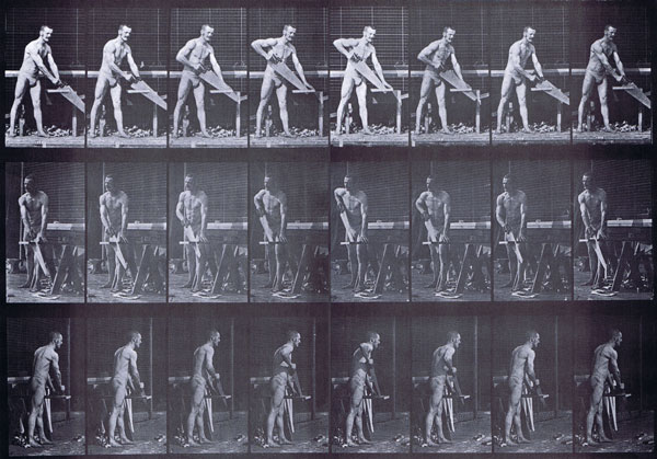 muybridge_plate_380_small