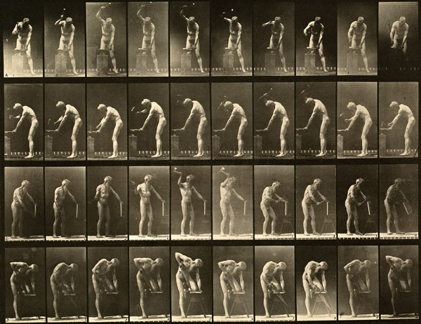 muybridge_plate_491_small