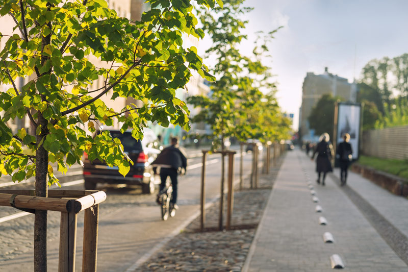 Trees are planted in a strip of permeable cobblestone along a walk/bike lane