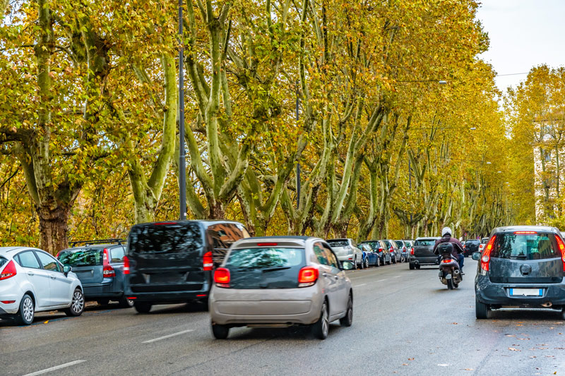 Large yellow-green trees line a busy Italian road