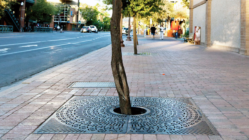 Raw cast iron tree grate with lacy look protects a tree on a wide cobblestone sidewalk