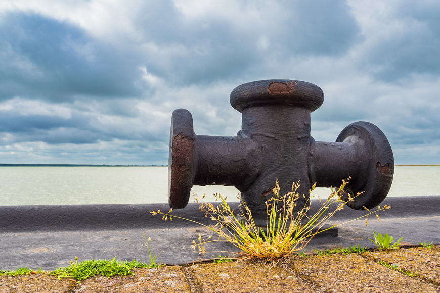 Beside a lake, a “t” shaped bollard for mooring boats has chipped paint and is rusting